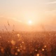 Golden Hour Single