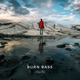 Burn Bass Single