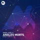 Angles Morts Single