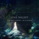 One Night Single