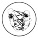 Ashen Single