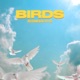 Birds Single