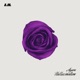 Hallucination Single