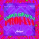 Indulgência Profana feat MC Denny MC GW DJ MAVICC Single