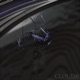 Clouds Single
