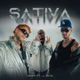 Sativa Single