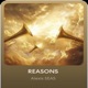 REASONS Single