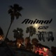Animal Single