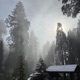 winter sky Single