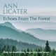 Echoes from the Forest