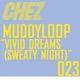 Vivid Dreams Sweaty Night Single