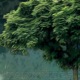 Rainy Vibes EP
