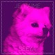 Je T aime feat Seeya Single
