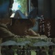 感情寄生族 Single