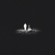 Curse Of The Dreamer Single
