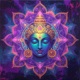 Mandala Single