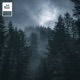 Silent Forest Single