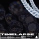 Timelapse feat Magyn Vinicius Piero Dri theFOX Single