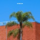 Eyes Up Feat Rakon Single