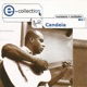 E collection