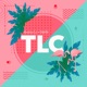 Tlc Single