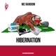 Hibernation
