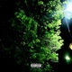 feeling low Single