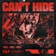 Can t Hide Single