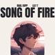 Song of Fire feat Lily T Single