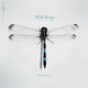 Wild Bongo EP