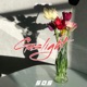 Gaslight Single