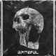 Spiteful feat Seira666 Single