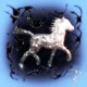 Lony Pony Single