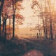 Anything Endless Is Wonderous Single