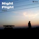 Night Flight Original Mix Single