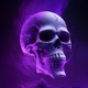 ETERNAL NIGHT Single