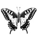 BUTTERFLIES Single
