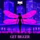 Get Bigger Single