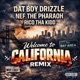 Welcome To California Remix Single