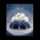 Fog of War Single
