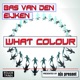 What Colour Single