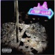 Strip Club feat Xani Single
