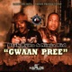 Gwaan Pree Single