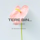 Tere Bin Single