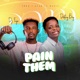 PAIN THEM feat Destiny Boy Single