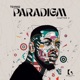 Paradigm Chapter 2 Single