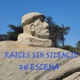 Raíces Sin Silencio
