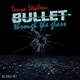 Bullet Through the Glass Single