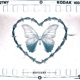 Konta Mou Single