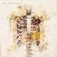Broken Hearted Metaphors Single